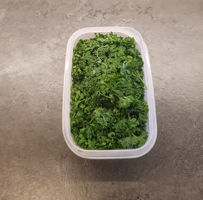 Têtes de persil dans un Tupperware